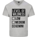 Levels of Wildness Gemini Mens V-Neck Cotton T-Shirt Sports Grey