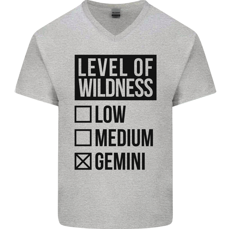 Levels of Wildness Gemini Mens V-Neck Cotton T-Shirt Sports Grey
