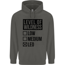 Levels of Wildness Leo Childrens Kids Hoodie Storm Grey