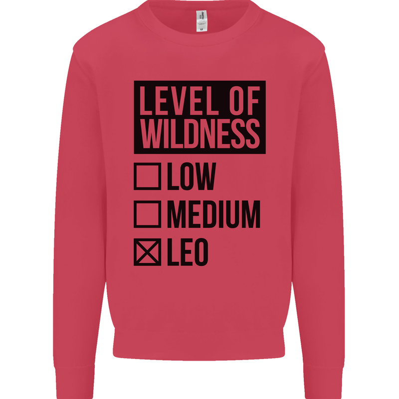 Levels of Wildness Leo Kids Sweatshirt Jumper Heliconia