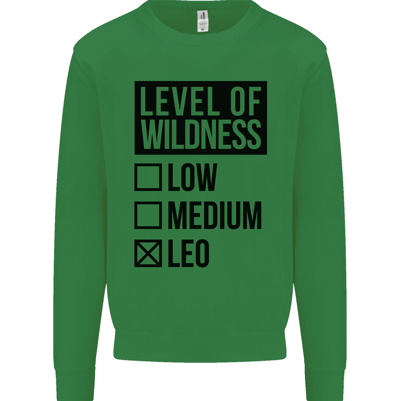 Levels of Wildness Leo Kids Sweatshirt Jumper Irish Green
