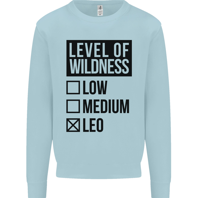 Levels of Wildness Leo Kids Sweatshirt Jumper Light Blue