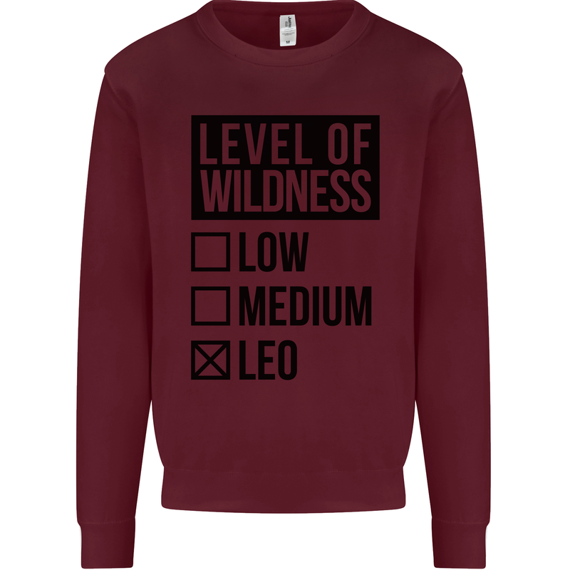 Levels of Wildness Leo Kids Sweatshirt Jumper Maroon
