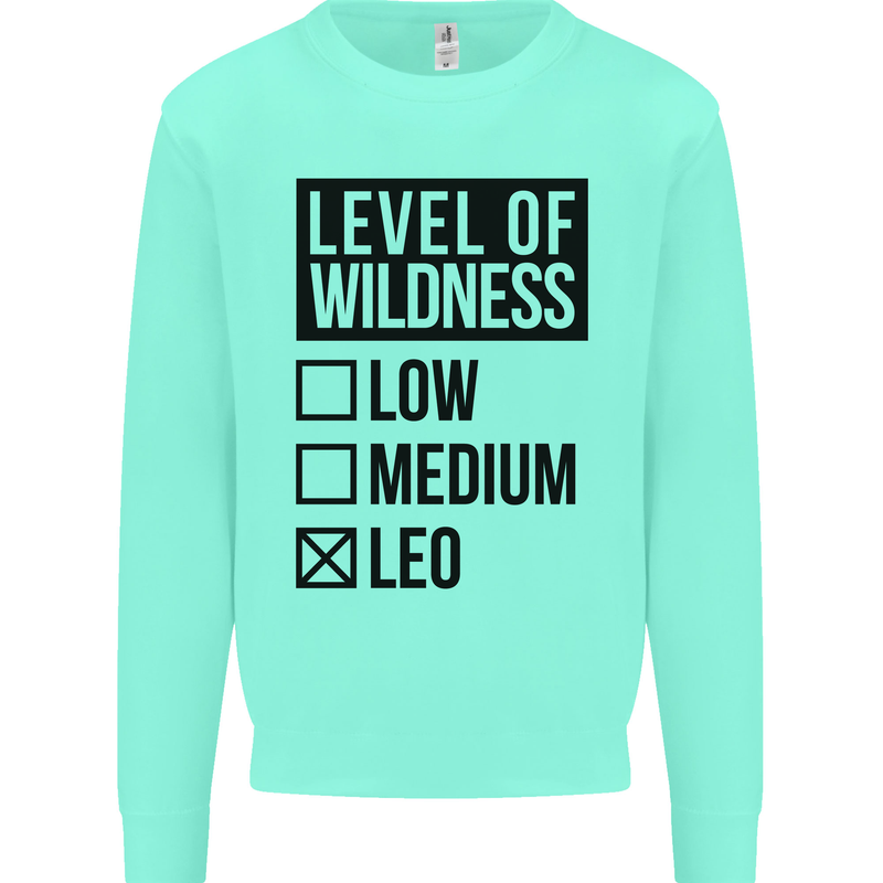 Levels of Wildness Leo Kids Sweatshirt Jumper Peppermint