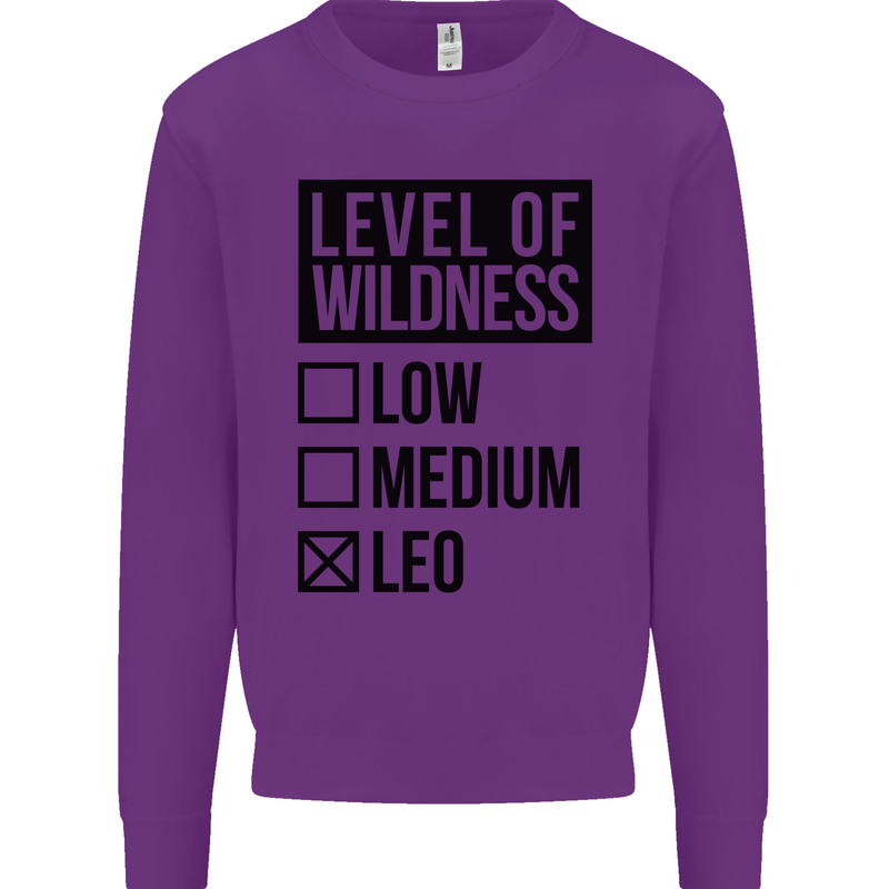 Levels of Wildness Leo Kids Sweatshirt Jumper Purple