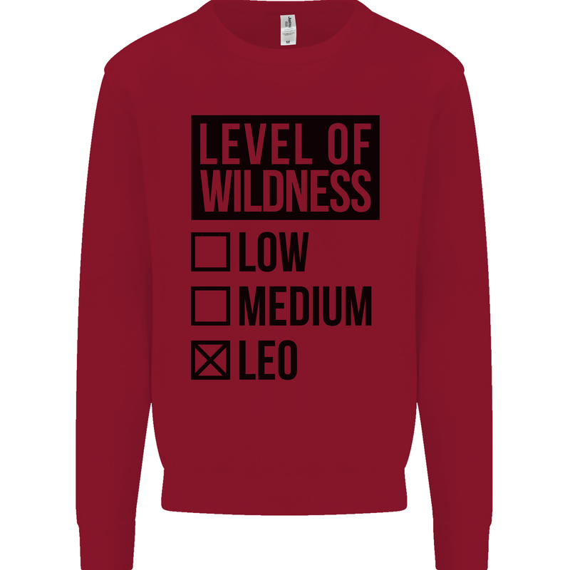 Levels of Wildness Leo Kids Sweatshirt Jumper Red