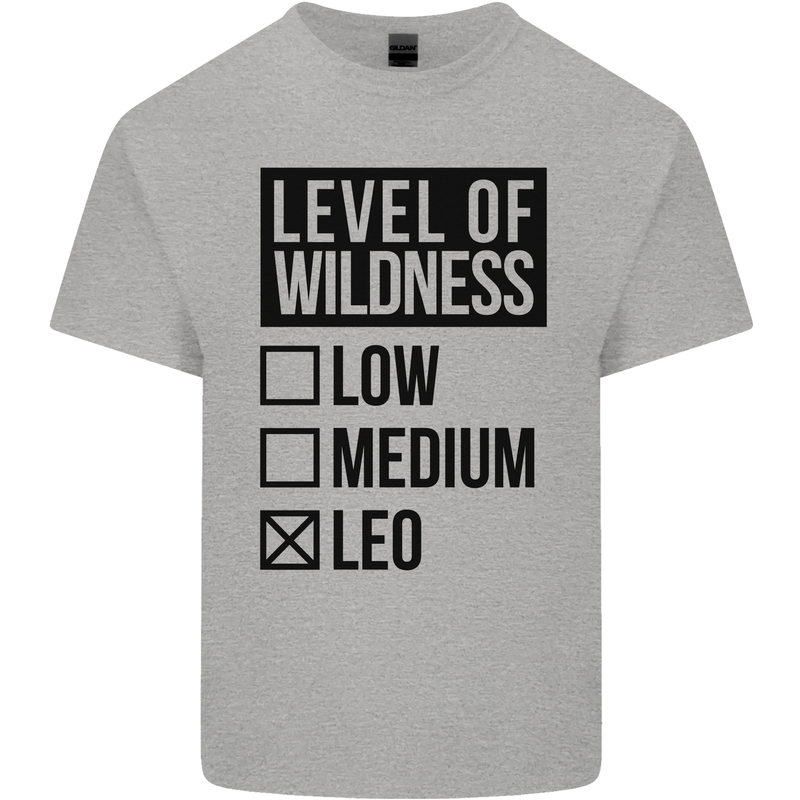 Levels of Wildness Leo Kids T-Shirt Childrens Sports Grey
