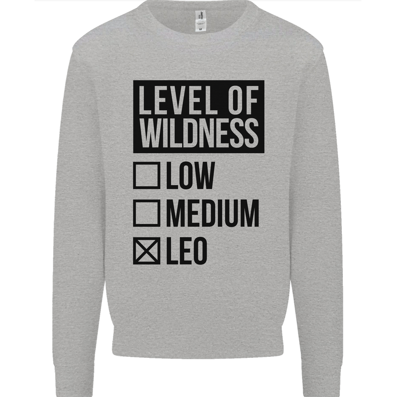 Levels of Wildness Leo Mens Sweatshirt Jumper Sports Grey