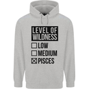 Levels of Wildness Pisces Childrens Kids Hoodie Sports Grey