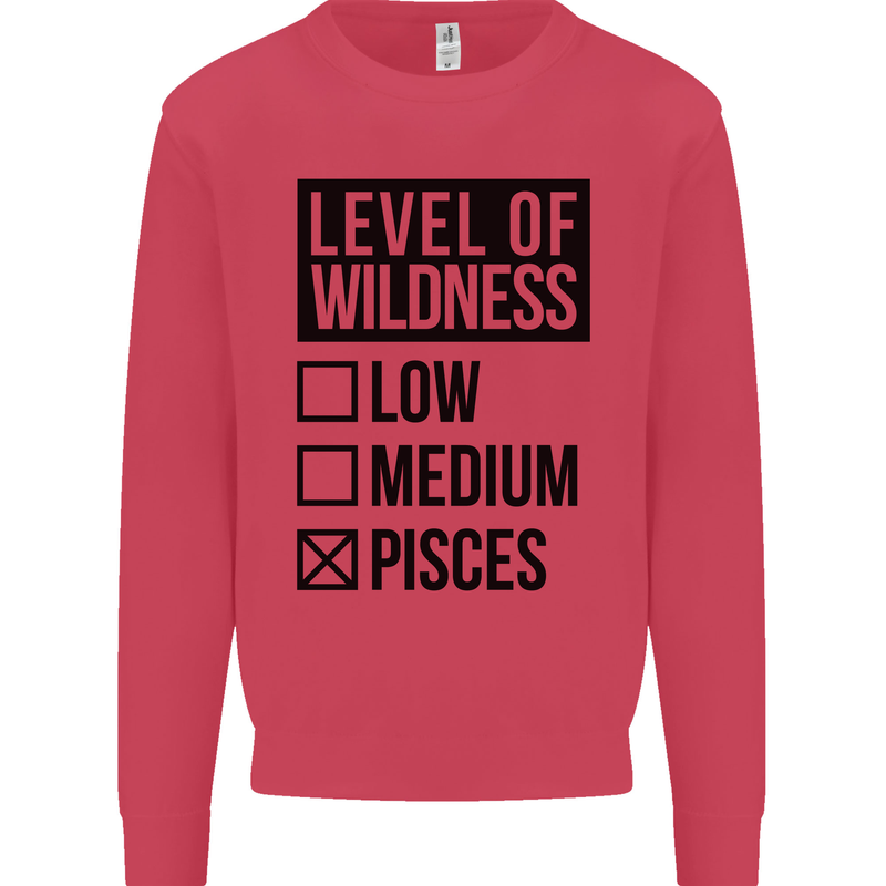 Levels of Wildness Pisces Kids Sweatshirt Jumper Heliconia