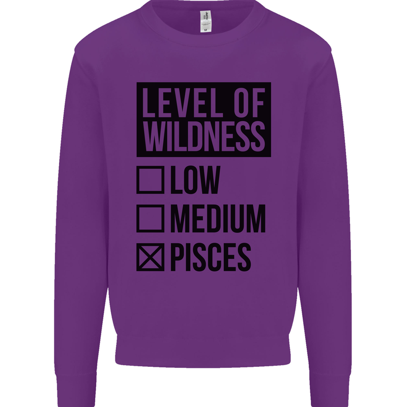 Levels of Wildness Pisces Kids Sweatshirt Jumper Purple