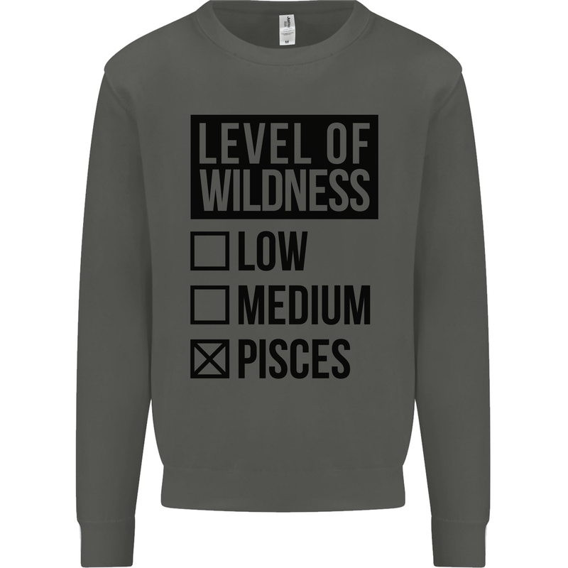 Levels of Wildness Pisces Kids Sweatshirt Jumper Storm Grey