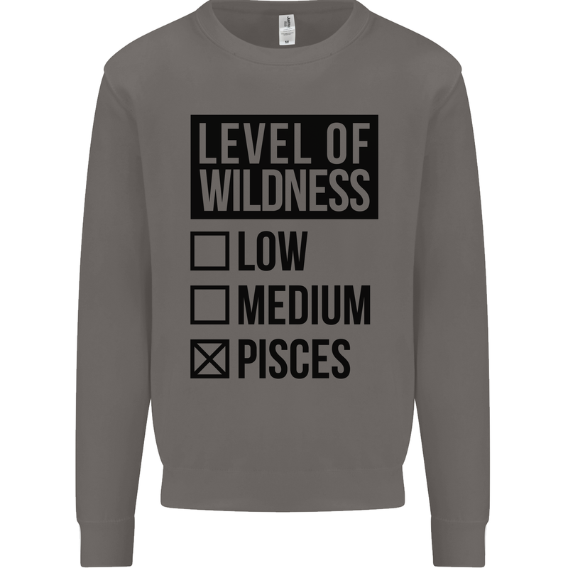 Levels of Wildness Pisces Mens Sweatshirt Jumper Charcoal