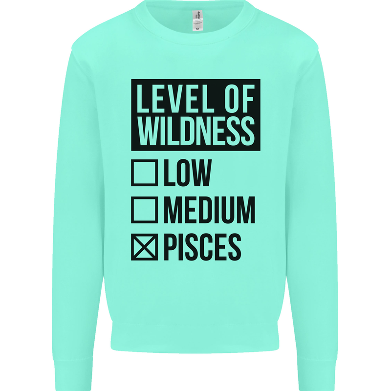 Levels of Wildness Pisces Mens Sweatshirt Jumper Peppermint