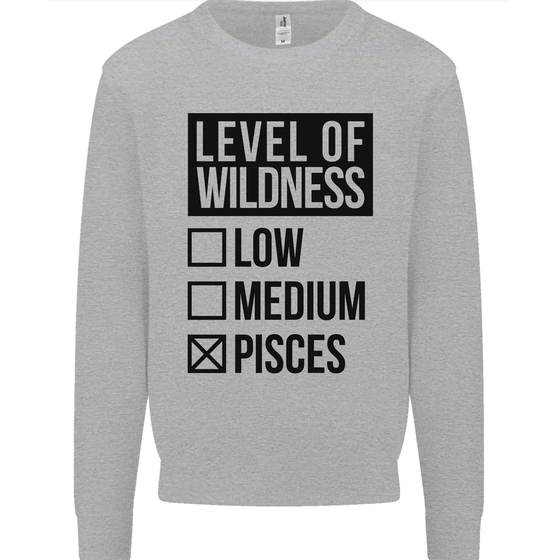 Levels of Wildness Pisces Mens Sweatshirt Jumper Sports Grey