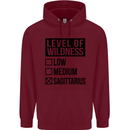 Levels of Wildness Sagittarius Childrens Kids Hoodie Maroon