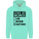 Levels of Wildness Sagittarius Childrens Kids Hoodie Peppermint