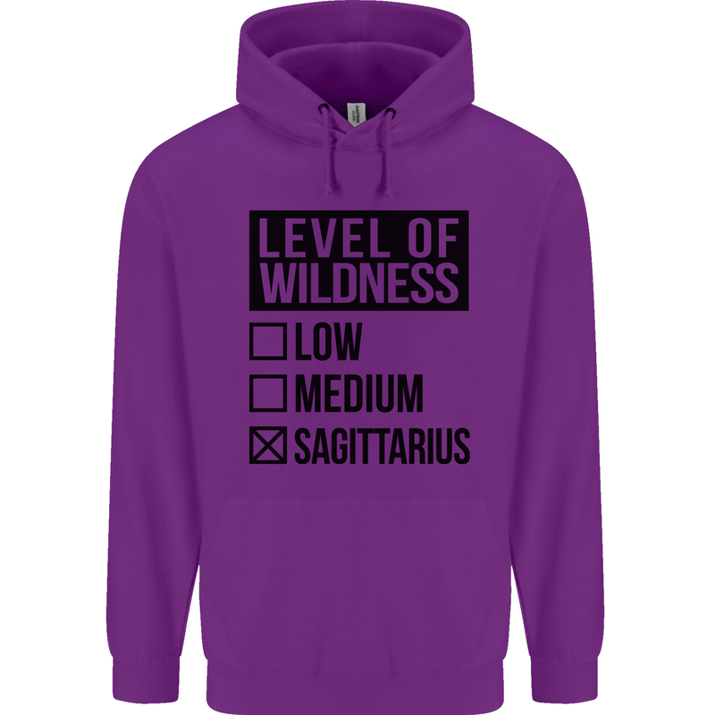 Levels of Wildness Sagittarius Childrens Kids Hoodie Purple