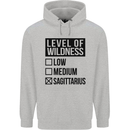 Levels of Wildness Sagittarius Childrens Kids Hoodie Sports Grey
