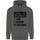 Levels of Wildness Sagittarius Childrens Kids Hoodie Storm Grey