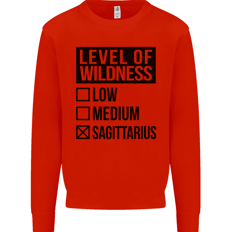 Levels of Wildness Sagittarius Kids Sweatshirt Jumper Bright Red