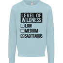 Levels of Wildness Sagittarius Kids Sweatshirt Jumper Light Blue