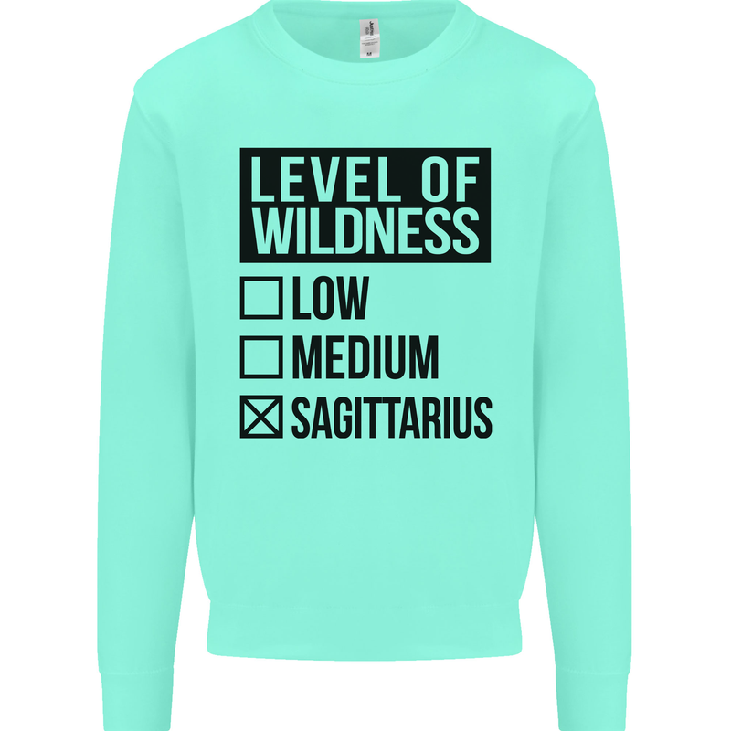 Levels of Wildness Sagittarius Kids Sweatshirt Jumper Peppermint