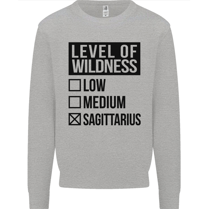 Levels of Wildness Sagittarius Kids Sweatshirt Jumper Sports Grey