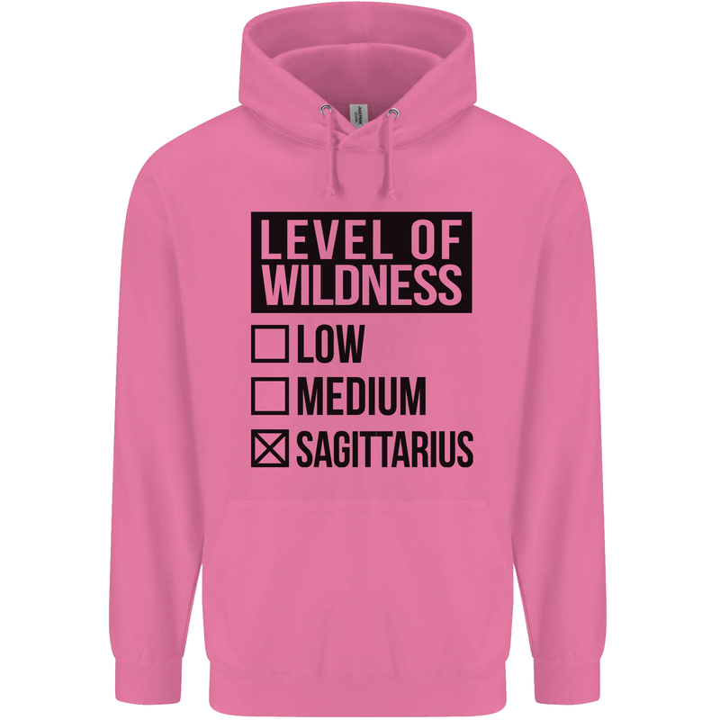 Levels of Wildness Sagittarius Mens 80% Cotton Hoodie Azelea