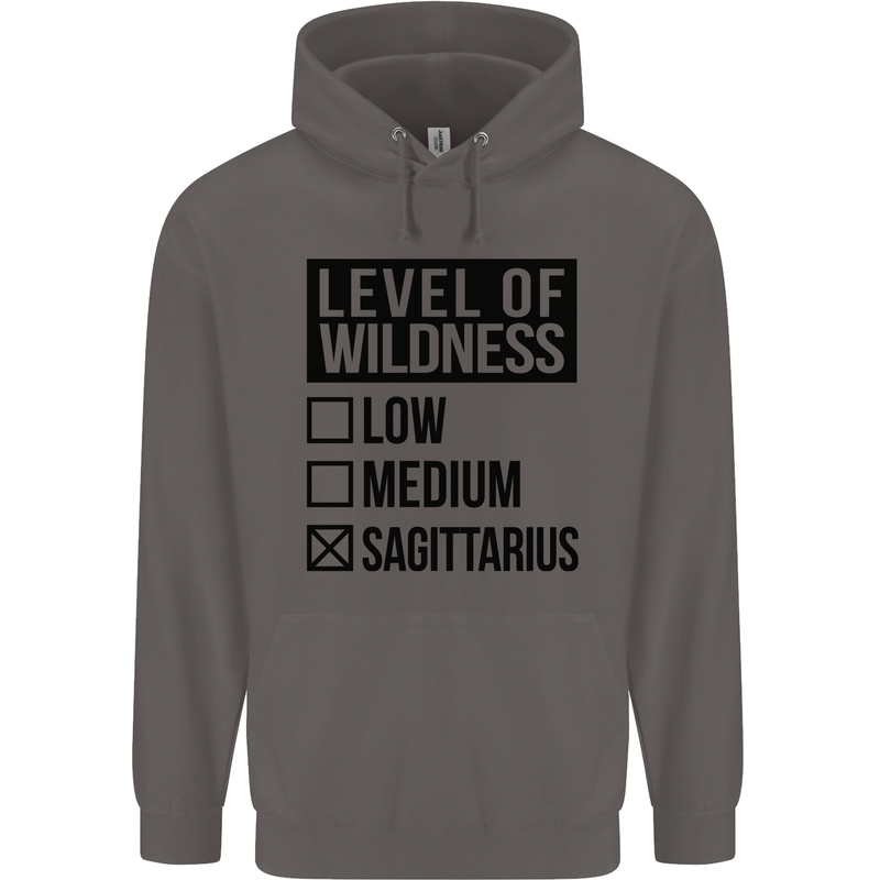 Levels of Wildness Sagittarius Mens 80% Cotton Hoodie Charcoal