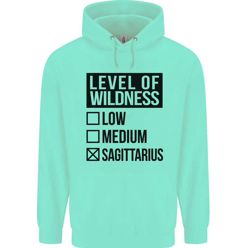 Levels of Wildness Sagittarius Mens 80% Cotton Hoodie Peppermint