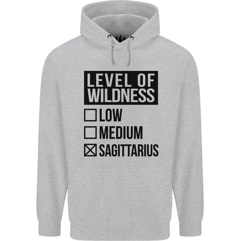 Levels of Wildness Sagittarius Mens 80% Cotton Hoodie Sports Grey
