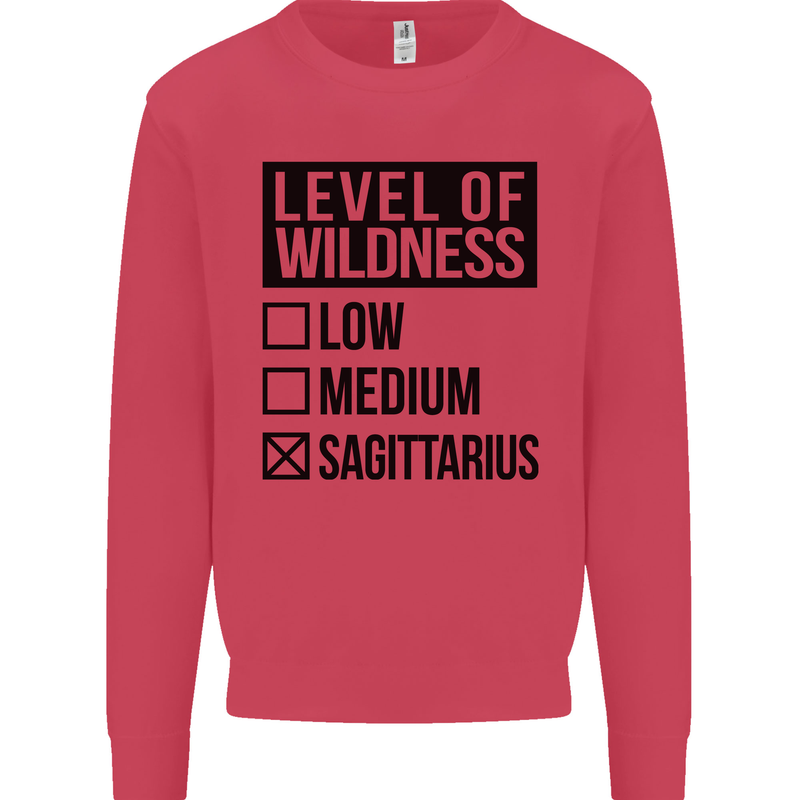 Levels of Wildness Sagittarius Mens Sweatshirt Jumper Heliconia