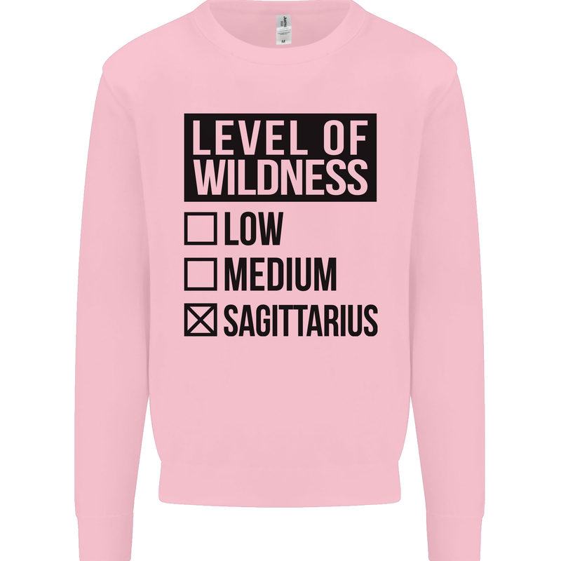 Levels of Wildness Sagittarius Mens Sweatshirt Jumper Light Pink