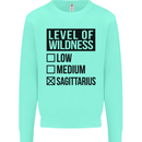 Levels of Wildness Sagittarius Mens Sweatshirt Jumper Peppermint
