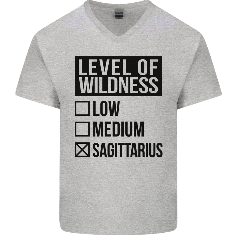 Levels of Wildness Sagittarius Mens V-Neck Cotton T-Shirt Sports Grey