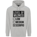 Levels of Wildness Scorpio Childrens Kids Hoodie Sports Grey