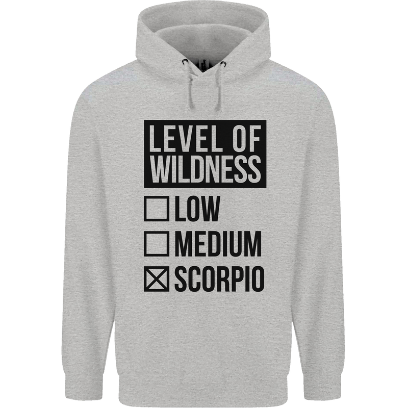 Levels of Wildness Scorpio Childrens Kids Hoodie Sports Grey