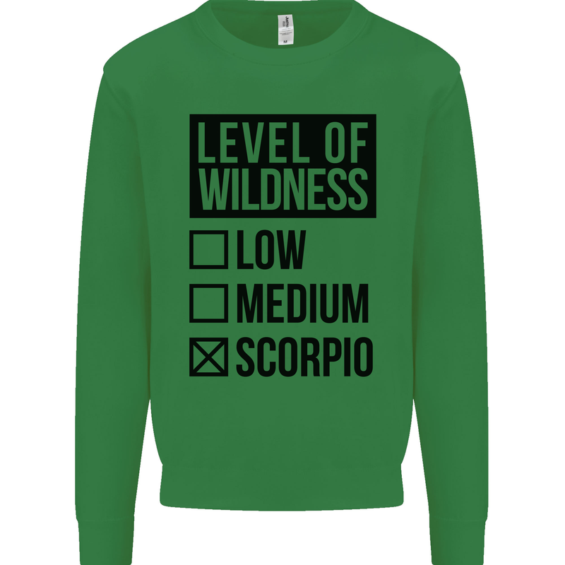 Levels of Wildness Scorpio Kids Sweatshirt Jumper Irish Green