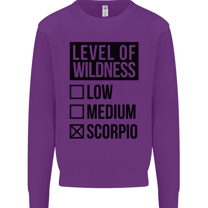 Levels of Wildness Scorpio Kids Sweatshirt Jumper Purple