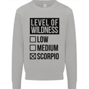 Levels of Wildness Scorpio Kids Sweatshirt Jumper Sports Grey