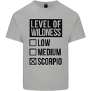 Levels of Wildness Scorpio Kids T-Shirt Childrens Sports Grey