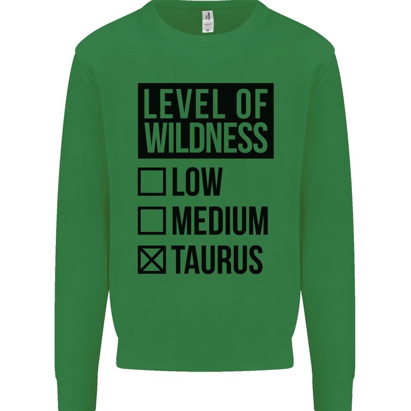 Levels of Wildness Taurus Kids Sweatshirt Jumper Irish Green