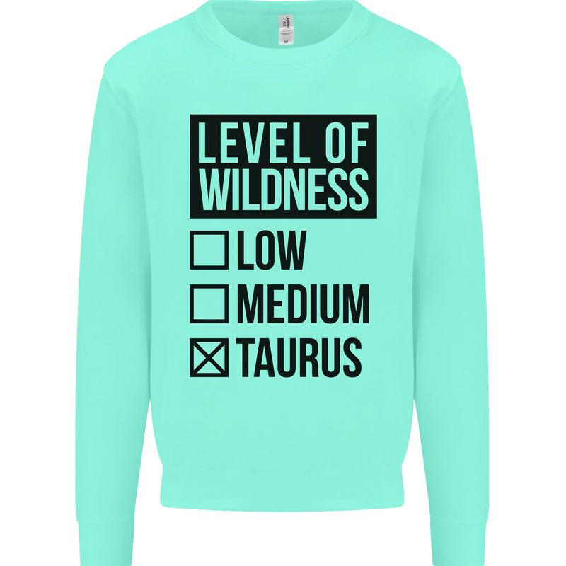 Levels of Wildness Taurus Kids Sweatshirt Jumper Peppermint