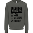 Levels of Wildness Taurus Kids Sweatshirt Jumper Storm Grey