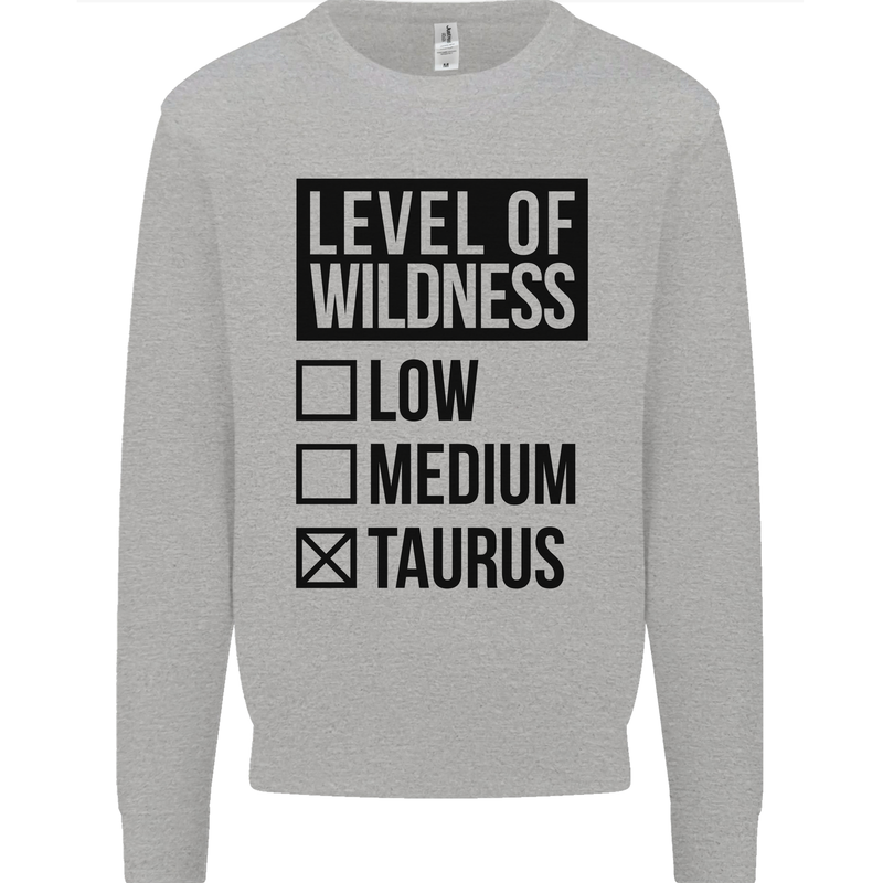 Levels of Wildness Taurus Mens Sweatshirt Jumper Sports Grey