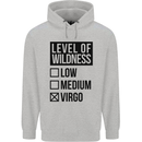 Levels of Wildness Virgo Childrens Kids Hoodie Sports Grey
