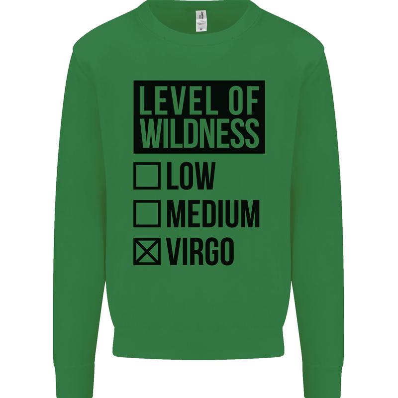Levels of Wildness Virgo Kids Sweatshirt Jumper Irish Green