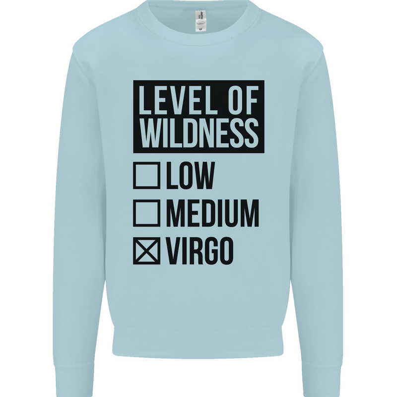 Levels of Wildness Virgo Kids Sweatshirt Jumper Light Blue