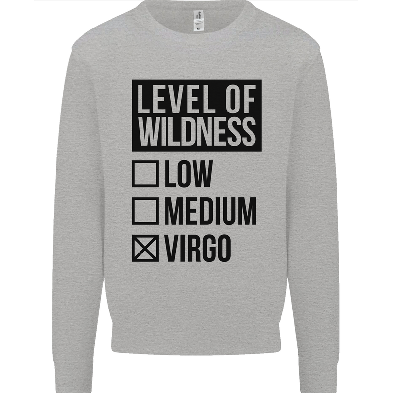 Levels of Wildness Virgo Kids Sweatshirt Jumper Sports Grey